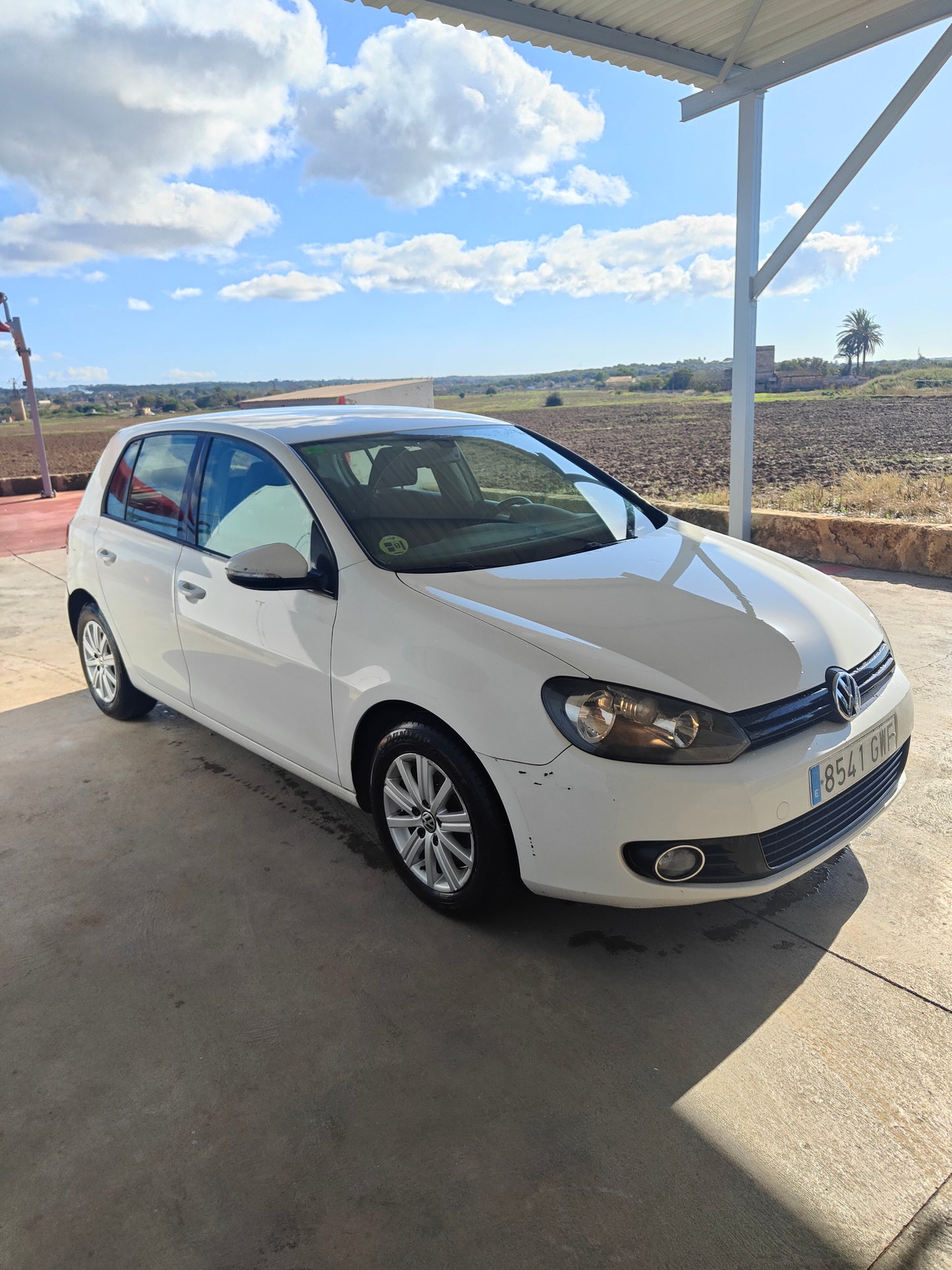 Volkswagen golf 1.6tdi
