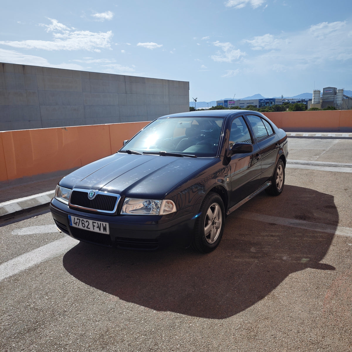Skoda octavia 1.9tdi